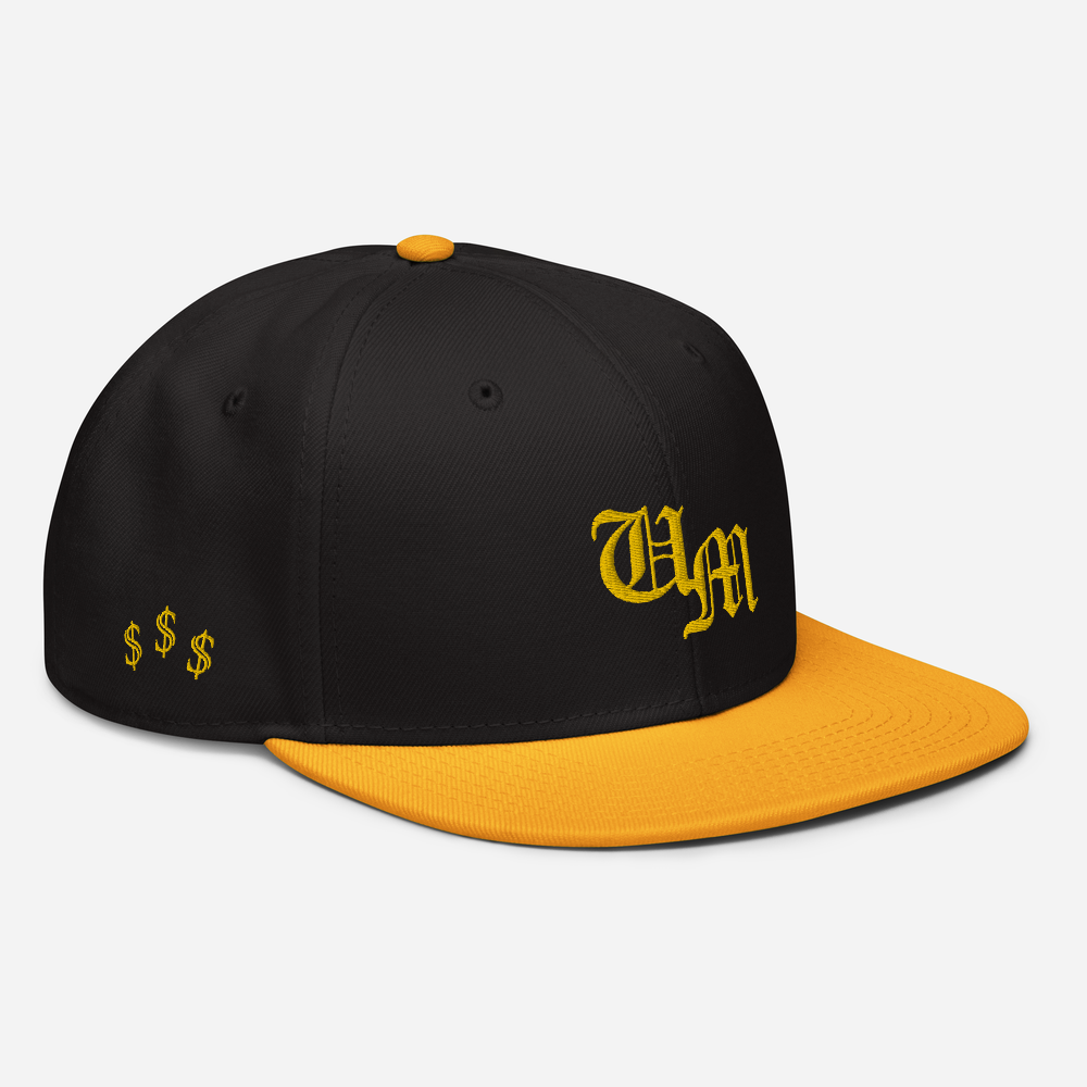 Snapback Hat Secured Ed.
